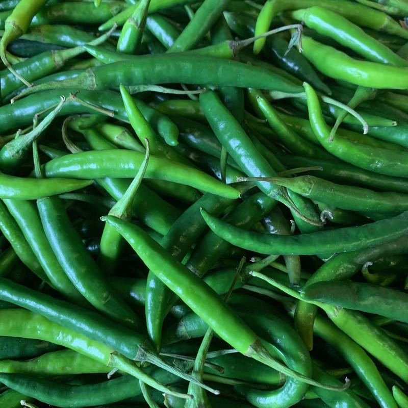 Chilli Kenya