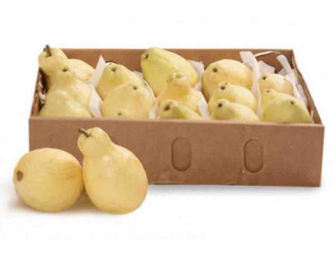 GUAVA EGYPT - SMALL BOX